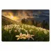 Bloemenveld - Heuvels - Zonsondergang - Berg - Natuur - Wit - Heuvels Placemat vinyl groot -zzsfeer1_Kitchenyeah-website