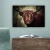 Schotse hooglander - Licht - Portret - Natuur canvas 2cm klein -sfeer4