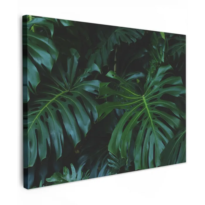 Bladeren - Tropisch - Monstera - Jungle canvas 2cm klein -z3d