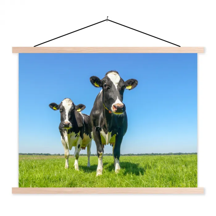 Koeien - Weiland - Gras - Dieren - Boerderij textielposter latten blank klein -3d