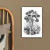 Design - Zwart wit - Natuur canvas 2cm klein -sfeer3