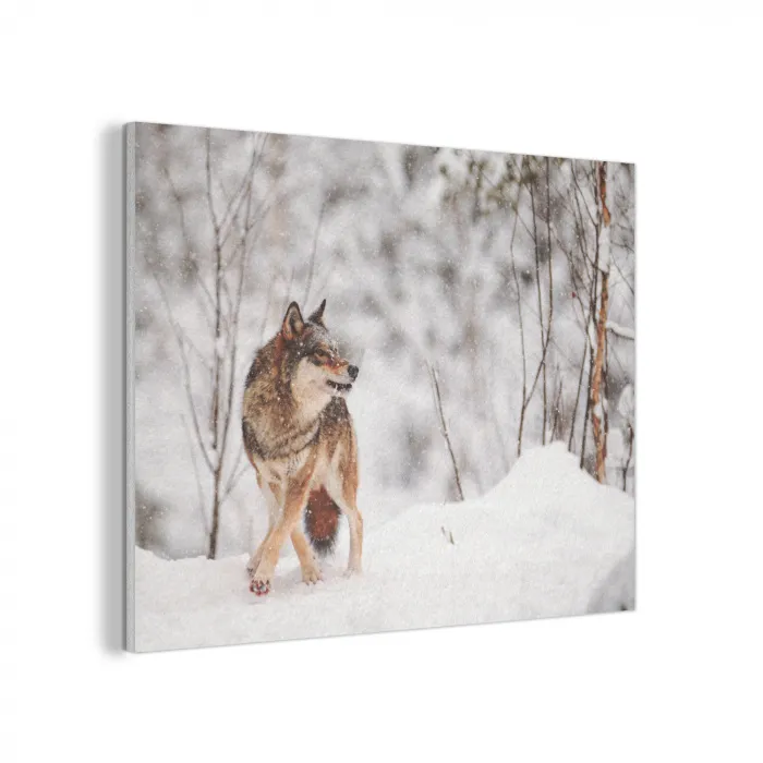 Wolf - Winter - Sneeuw - Natuur - Dieren PET vilt klein -3d