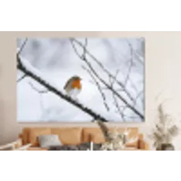 Roodborstje - Tak - Sneeuw - Winter - Levendig forex 5mm xxl -bovenbank
