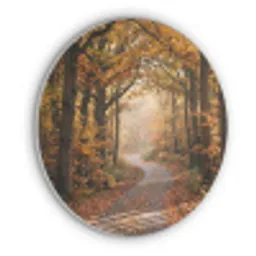 Bospad - Herfstbos - Bladeren - Oranje - Nostalgisch Akoestische PET Vilt - Rond klein -3d