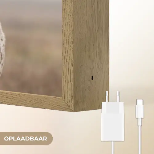 Longhorn - Grasveld - Dier Light Box met batterij (Wandlamp) middel -USP_websiteoplaadbaarNL
