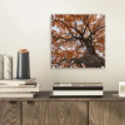 Boom - Bladerdak - Herfst - Oranje - Sfeervol plexiglas 5mm klein -sfeer1
