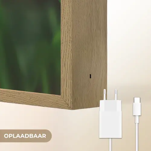 Narcis - Bloem - Wit - Grassprieten Light Box met batterij (Wandlamp) middel -USP_websiteoplaadbaarNL