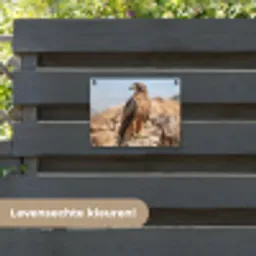 Valk - Vogel - Rots - Macht tuinposter los doek klein -sfeer3