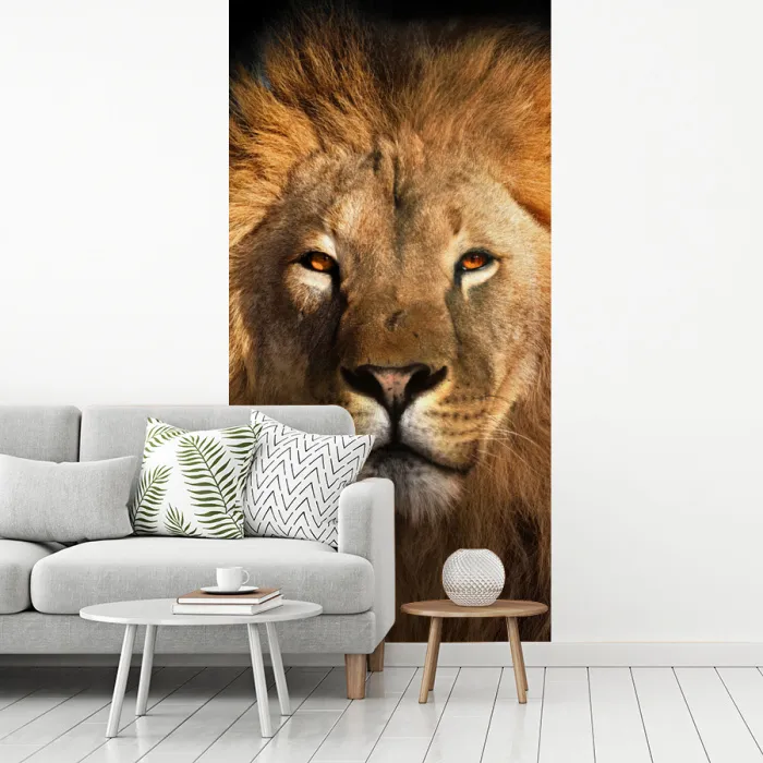 Leeuw - Dieren - Zwart - Licht - Bruin - Portret fotobehang vinyl groot -woonkamer