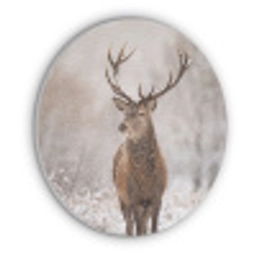 Edelhert - Bos - Sneeuw - Winter - Majestueus Akoestische PET Vilt - Rond klein -3d