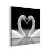 Zwanen - Hart - Zwart - Wit aluminium wit klein -3d