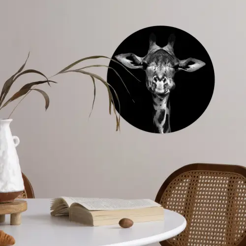 Giraffe - Portret - Dieren - Zwart - Wit Wandcirkel behangsticker klein -sfeer3