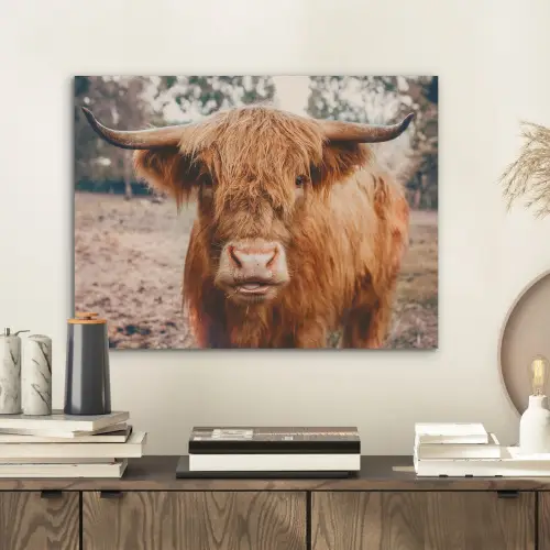 Koe- Schotse hooglander - Hoorns - Bruin - Landschap PET vilt klein -sfeer1