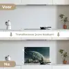 Astronaut - Kat - Glas - Stoel keuken achterwand spatscherm klein -voor_na_NL
