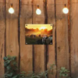 Koeien bij Zonsondergang tuinposter los doek klein -sfeer1