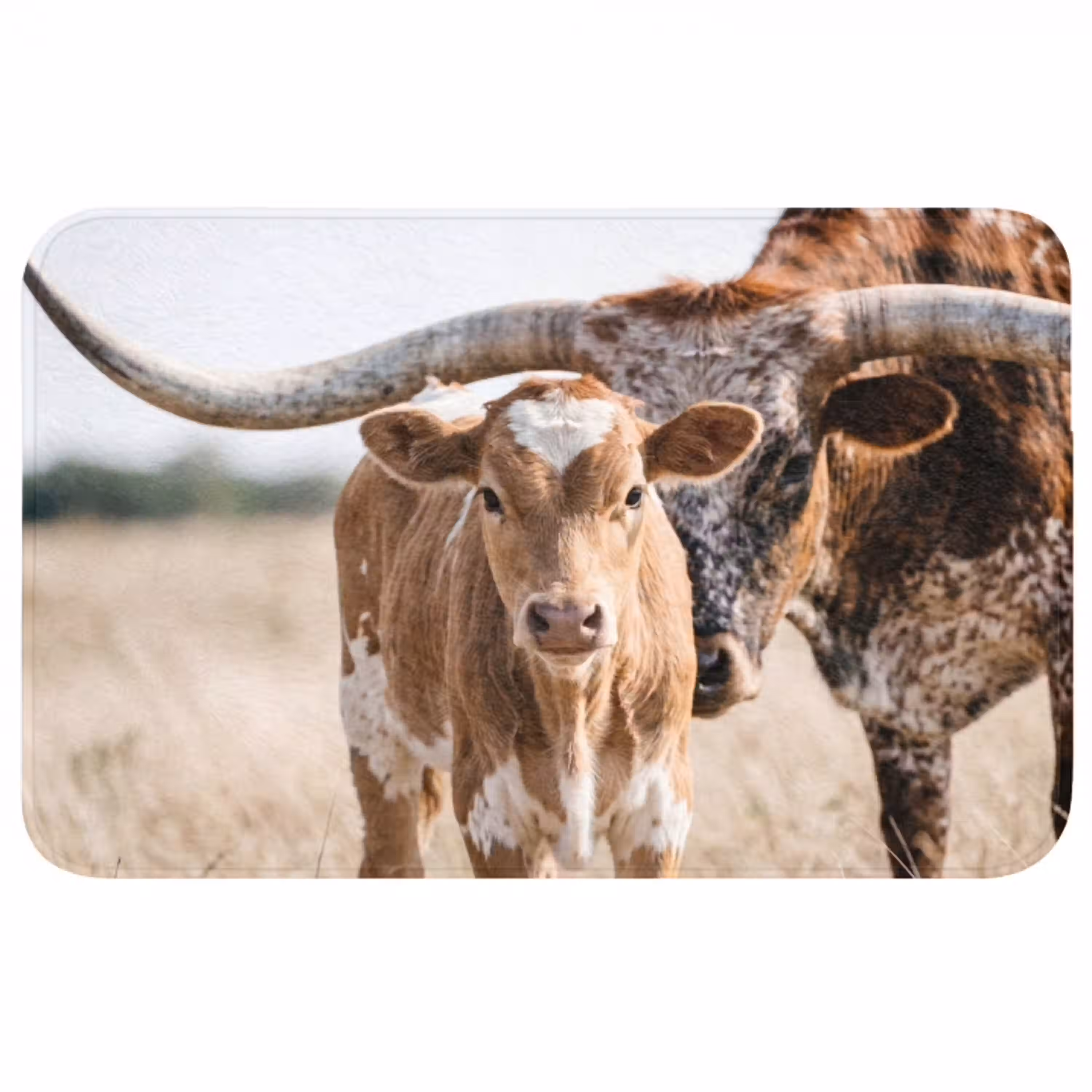 Texas Longhorn - Kalf - Weide - Dieren Badmat middel -3d