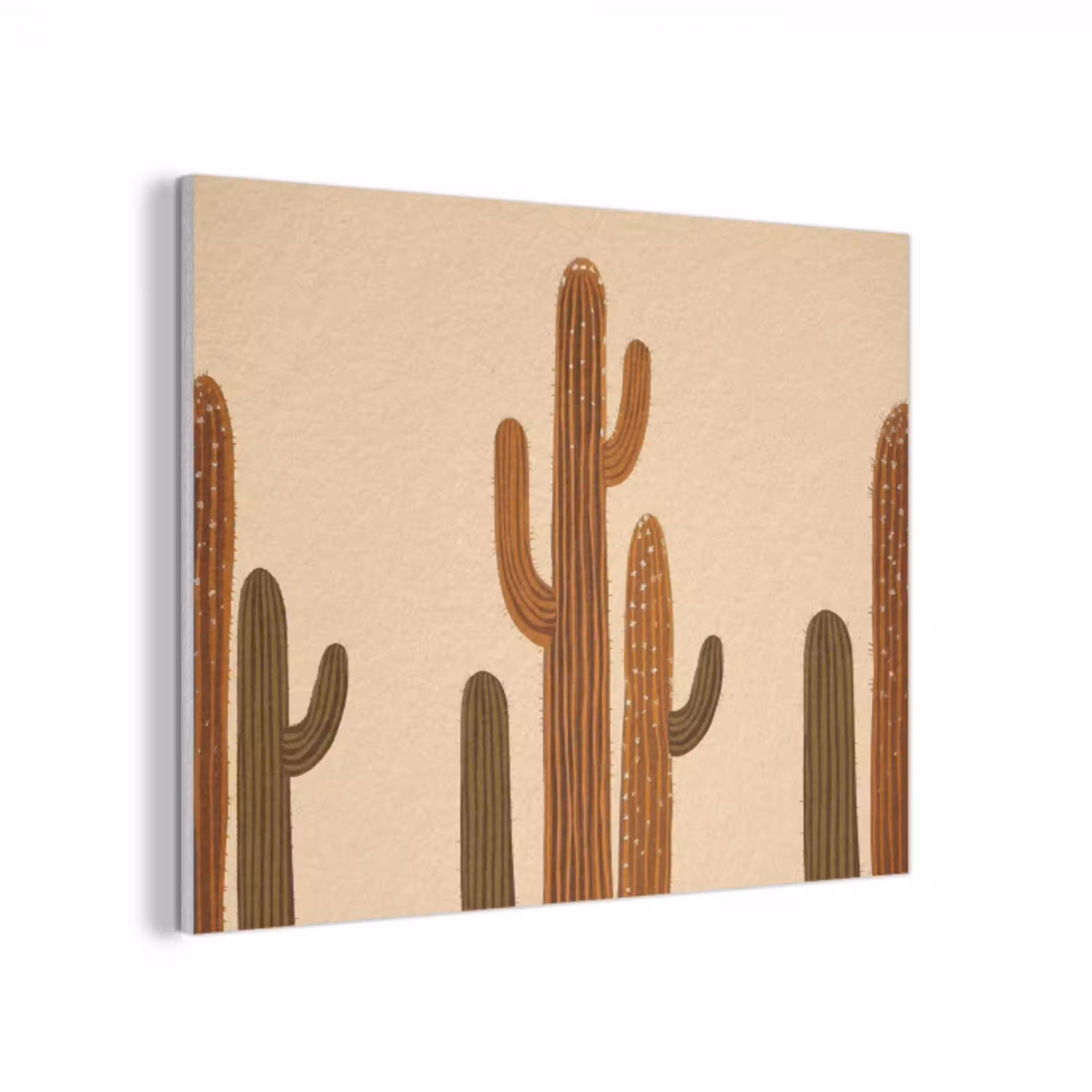 Cactus - Woestijn - Zand - Bruin PET vilt klein -3d