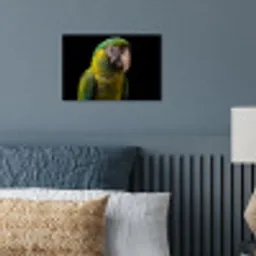 Ara - Portret - Groen poster papier klein -sfeer2