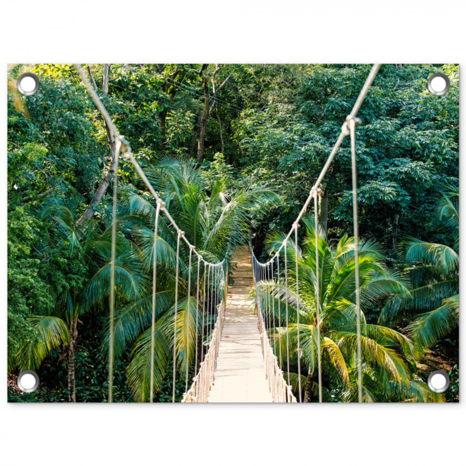 Touwbrug in het Tropisch Woud tuinposter los doek klein -3d