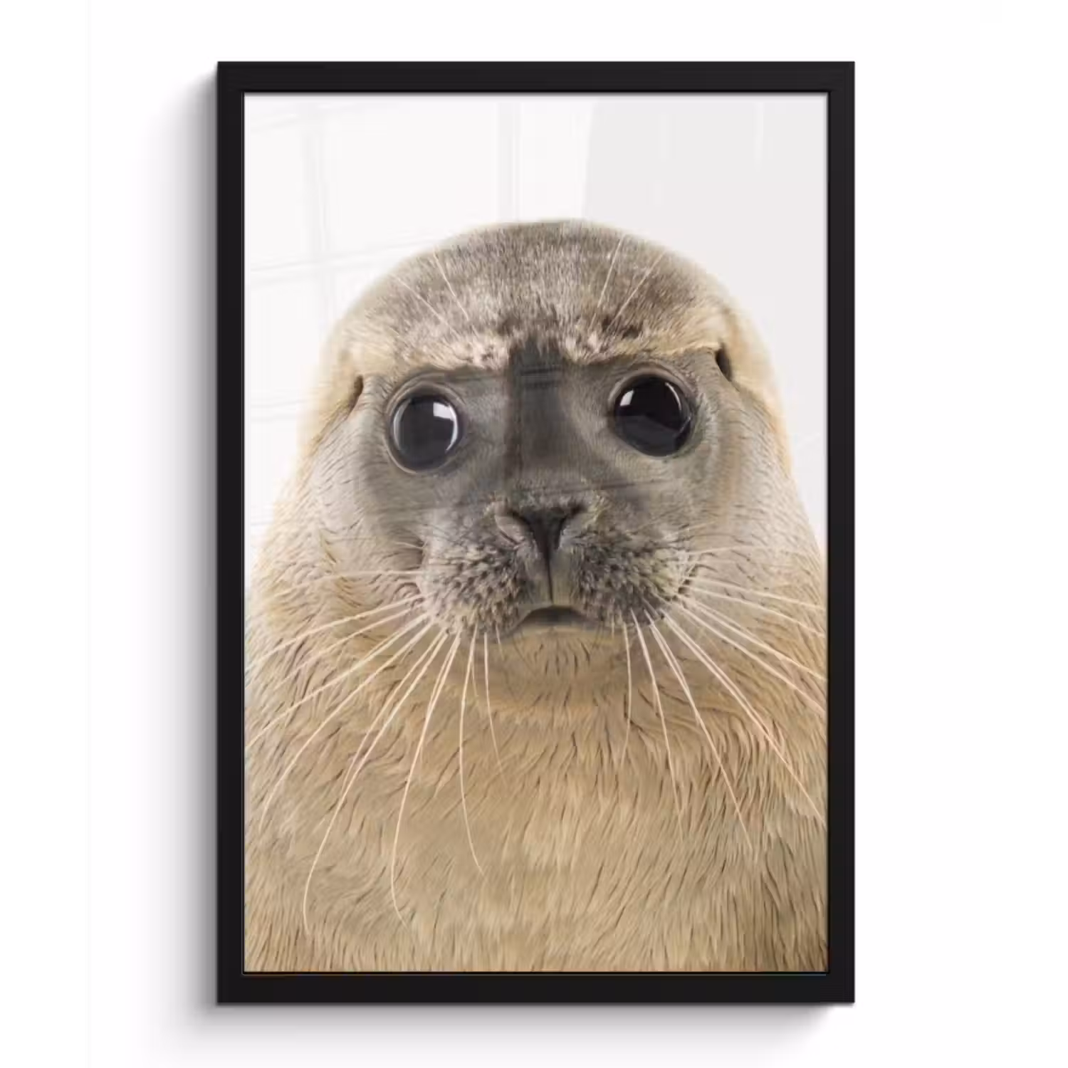 Poster met lijst - Jongens - Zeehond - Kinderen - Meisjes - Dieren