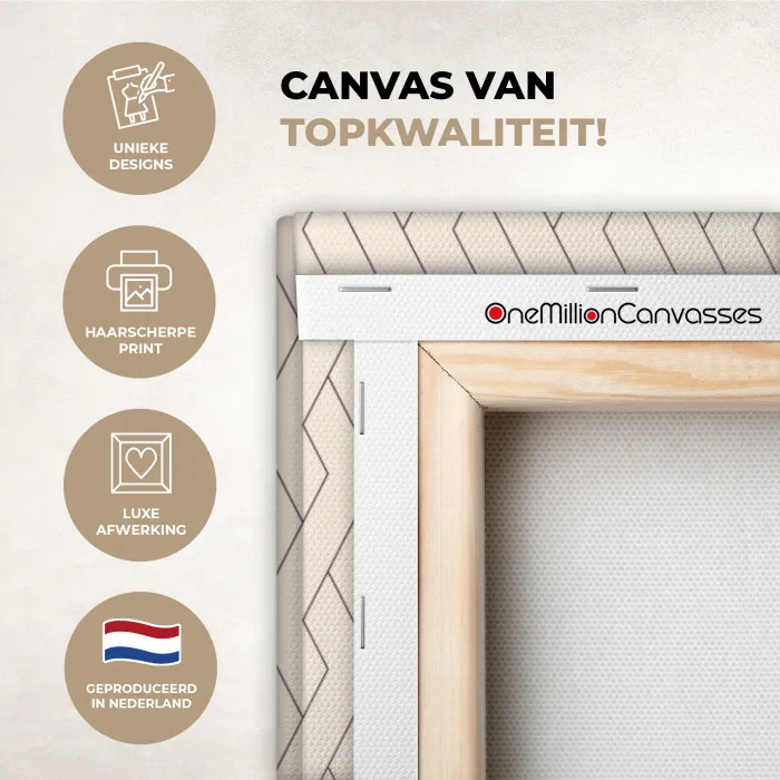 Beige - Zigzag - Patroon canvas 2cm xxl 828 -sfeer2