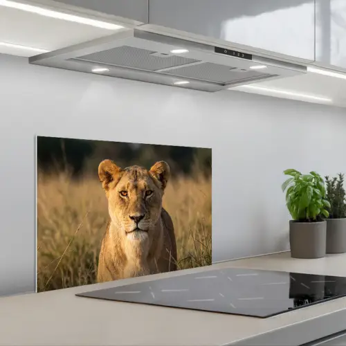 Leeuwin - Gras - Geel keuken achterwand spatscherm klein -3d_schuin