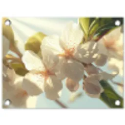 Bloesems - Wit - Zonnestralen -  Bloemblaadjes tuinposter los doek klein -3d