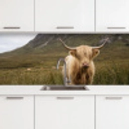 Schotse hooglander - Bergen - Grasveld keuken achterwand 2 middel -3d