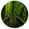 Jungle - Brug - Mos - Natuur - Tropisch Wandcirkel kunststof plaat 5mm dik klein -3d