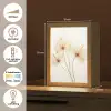 Zonlicht - Paardenbloemen - Natuur - Botanisch Light Box met kabel (Tafellamp) klein -USP_NL