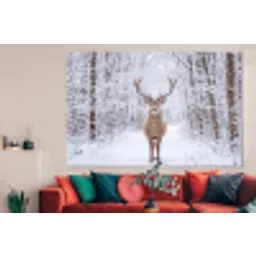 Hert - Winter - Bos - Natuur - Wit forex 5mm xxl -woonkamer