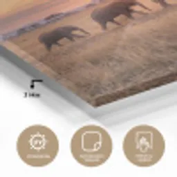 Olifanten - Savanne - Zonsondergang - Afrika - Warm plexiglas 5mm klein -wsfeer2_DE