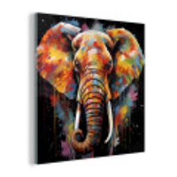 Olifant - Graffiti - Zwart - Dieren - Kleuren plexiglas 5mm klein -z3d