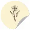 Zwart - Narcis - Illustratie Wandcirkel behangsticker klein -3d