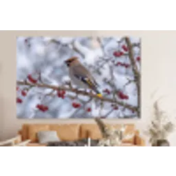 Pestvogel - Bessen - Winter - Natuur forex 5mm xxl -bovenbank