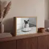 Kat - Siamees - Zwart Wit - Schattig - Dieren Light Box met batterij (Wandlamp) middel -sfeer2