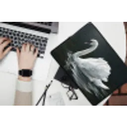 Zwaan - Water - Natuur - Realistisch - Wit laptophoes neopreen klein -bureau