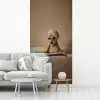 Bad - Hond - Boek - Zonnebril fotobehang vinyl groot -woonkamer
