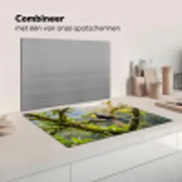 Toekan - Jungle - Natuur - Kleurrijk Inductie beschermer vinyl 3mm klein -wsfeer7_website