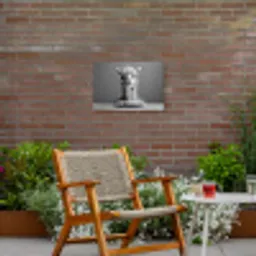Alpaca - Pasta - Zwart - Wit - Grappig - Dieren Tuinposter op houten frame 2 cm dik klein -sfeer3