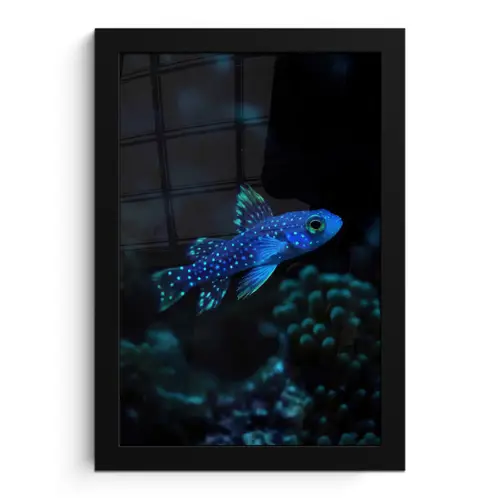 Vis - Stippen - Koraal - Blauw fotolijst zwart zonder passe partout klein -3d
