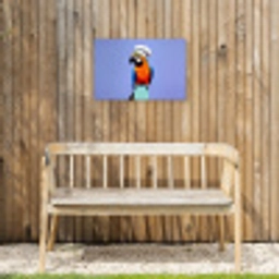 Papegaai - Koksmuts - Vogel - Leuk Tuinposter op houten frame 2 cm dik klein -sfeer4