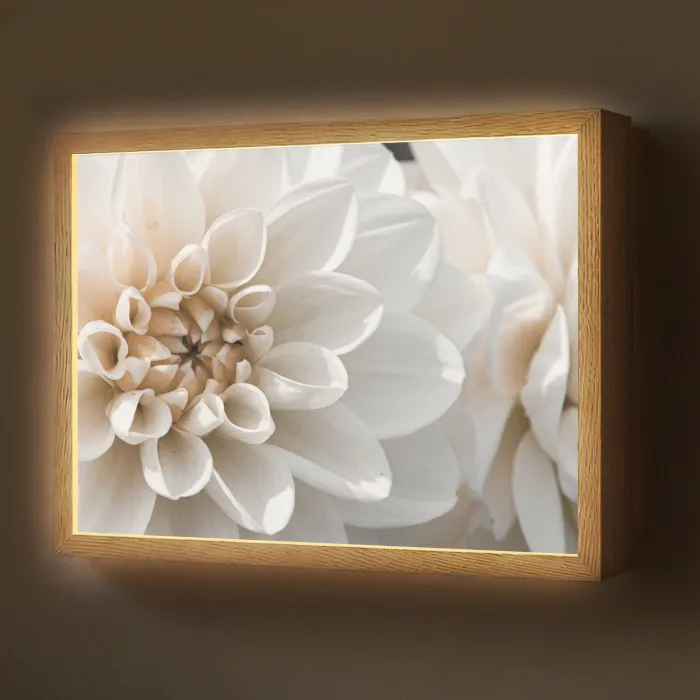 Bloemen - Wit - Natuur Light Box met batterij (Wandlamp) middel -z3d_website