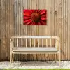 Close up - Bloem- Rood Tuinposter op houten frame 2 cm dik klein -sfeer4