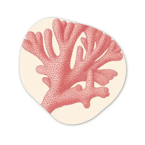 Koraal - Stipjes - Roze Wandcirkel Organisch Forex 3mm klein -3d