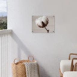 Katoenbol - Minimalistisch - Wit tuinposter los doek klein -sfeer8