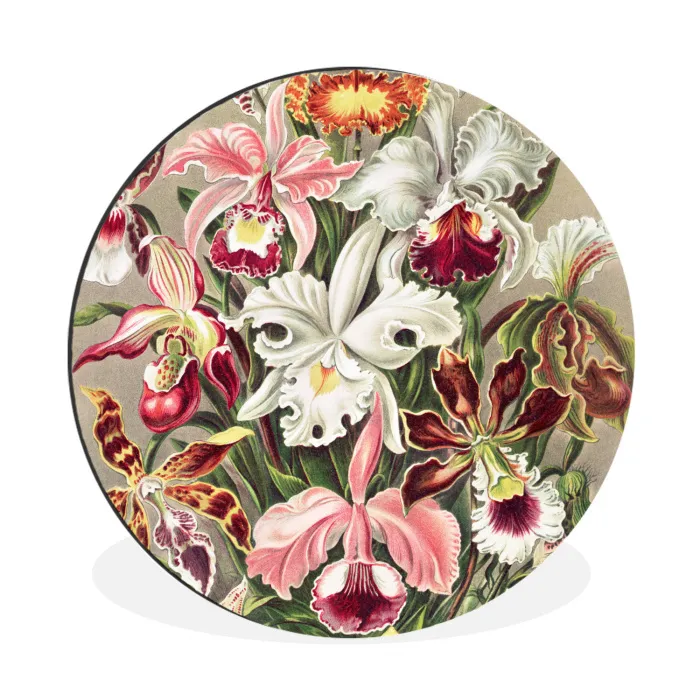 Bloemen - Ernst haeckel - Tuinposter - Vintage - Schuttingposter Wandcirkel aluminium klein -3d