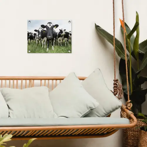 Koeien - Gras - Lente - Dieren - Weiland - Boerderij tuinposter los doek klein -sfeer7