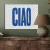 Ciao - Blauw - Stippen PET vilt klein -sfeer2