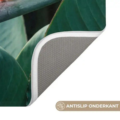 Paradijsvogel - Bloem - Exotisch WCmat klein -USP_AntislipNL